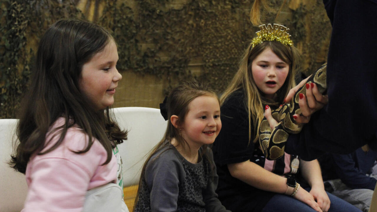 Birthday Party ball python encounter