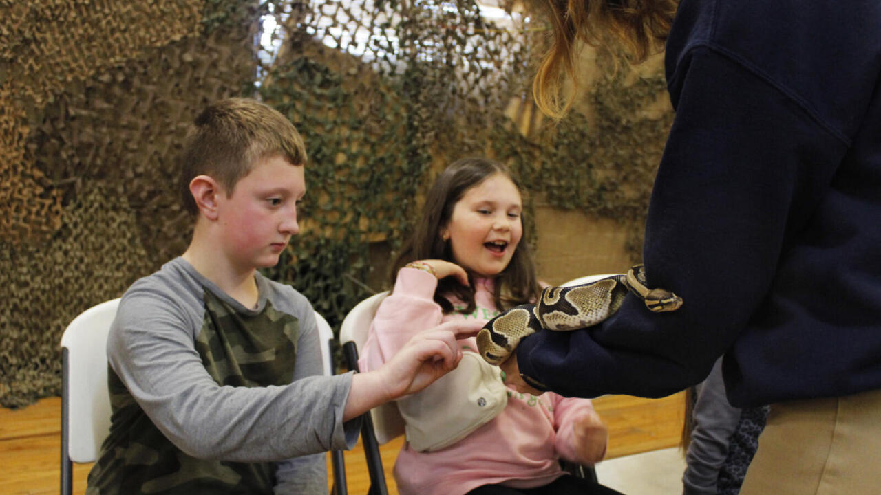 Birthday Party ball python touching