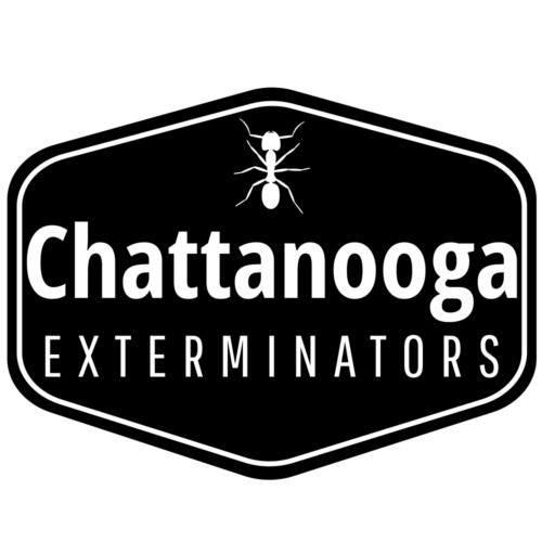 Chattanooga Exterminators